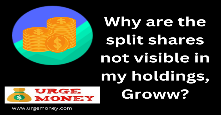 Why are the split shares not visible in my holdings, Groww?